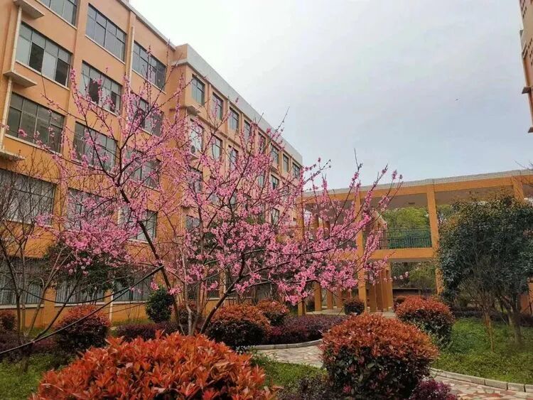 学校地图